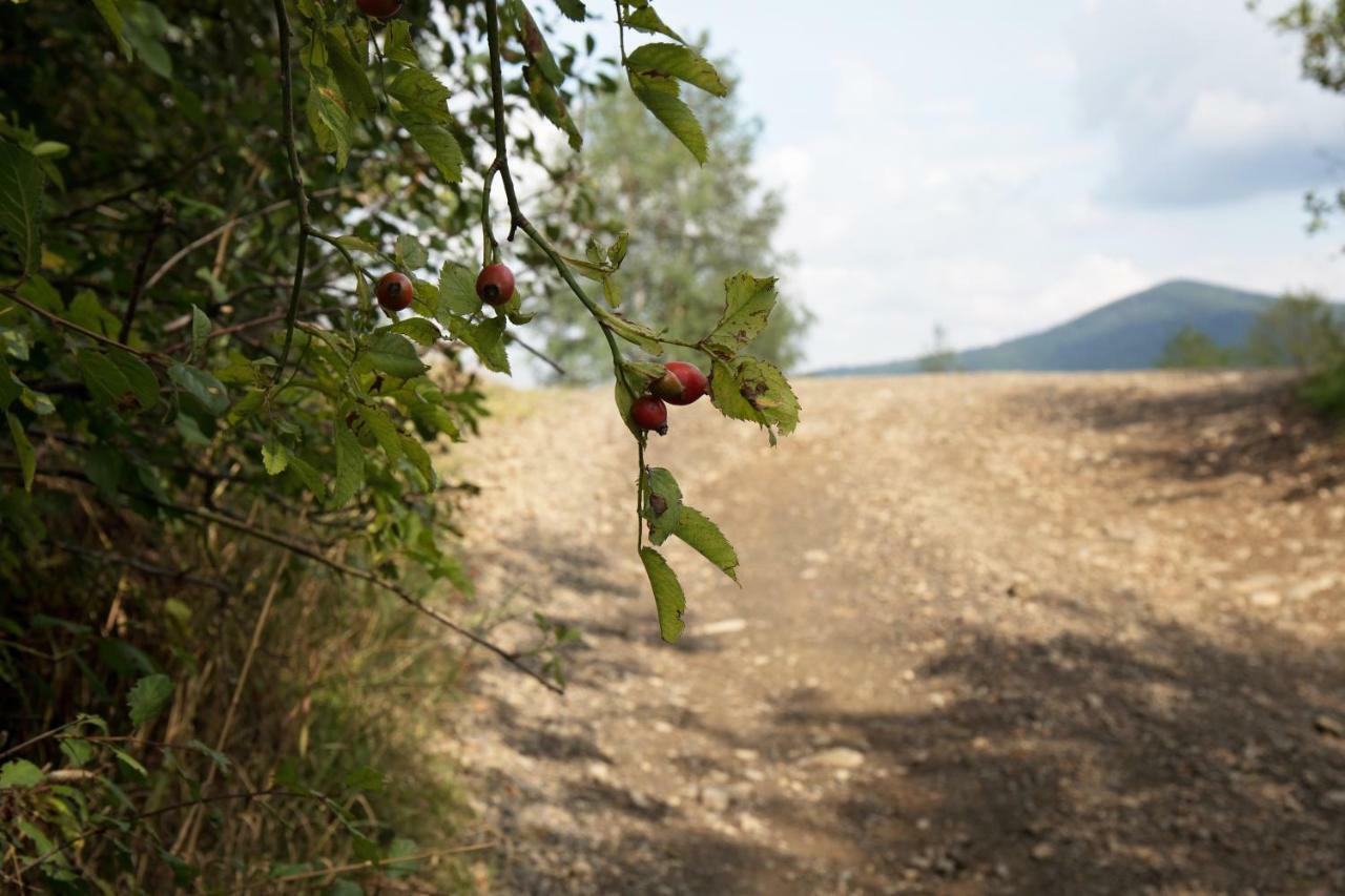 Ostoja Βίλα Rzyki Εξωτερικό φωτογραφία